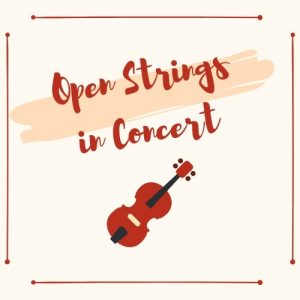 open strings - Leere Saiten - im Konzert